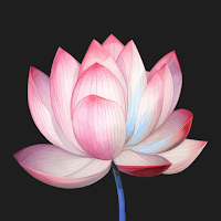 Arpan - Donation Tracker