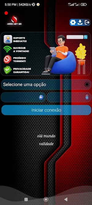 HardNetBR Studio Screenshot 0