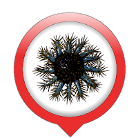 OREANET VT