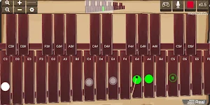 Marimba, Xylophone, Vibraphone Real Screenshot 0