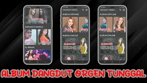 Dangdut Orgen Tunggal Offline Screenshot 0
