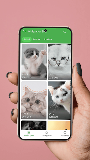 Cute Cat Wallpapers 2024 Screenshot 0
