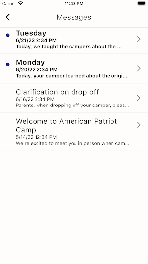 American Patriot Camp Screenshot 2
