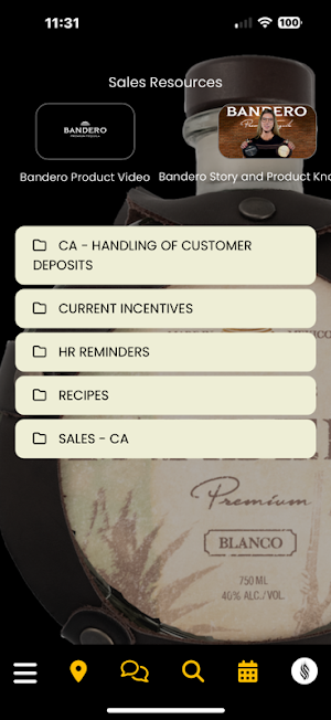 RDI Sales Screenshot 2