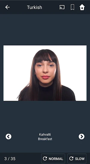 Learn Turkish. Speak Turkish. Study Turkish. Screenshot 2