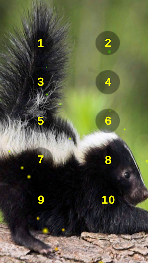 Skunk And Skunky Smell Sounds Screenshot 1