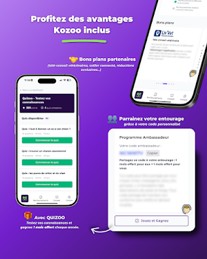 Kozoo Screenshot 3