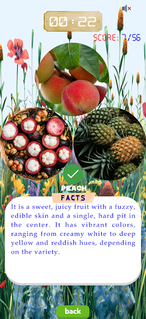 Plants Trivia Screenshot 3