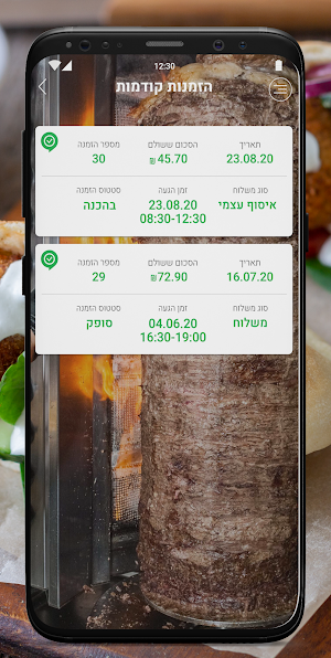הפלאפל הירוק Screenshot 0