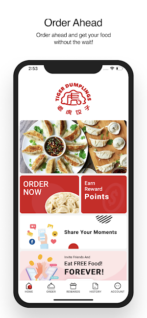 Tiger Dumplings Screenshot 0