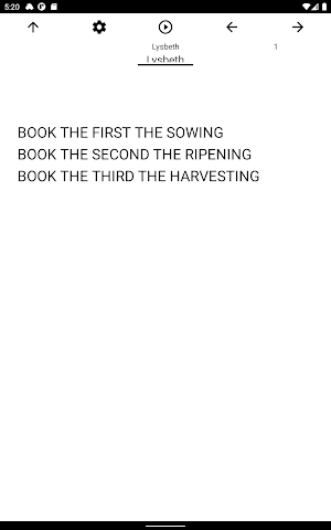 Book, Lysbeth Screenshot 2