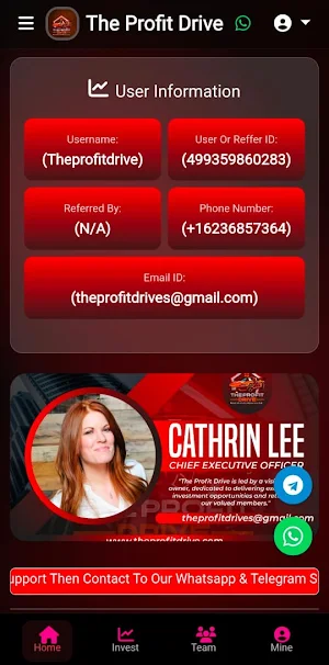 The Profit Drive Screenshot 2