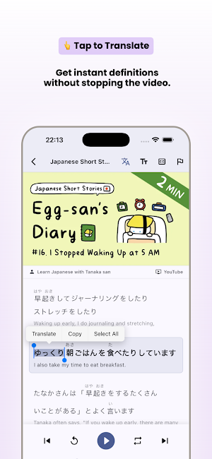 Learn Languages with Videos Screenshot 1