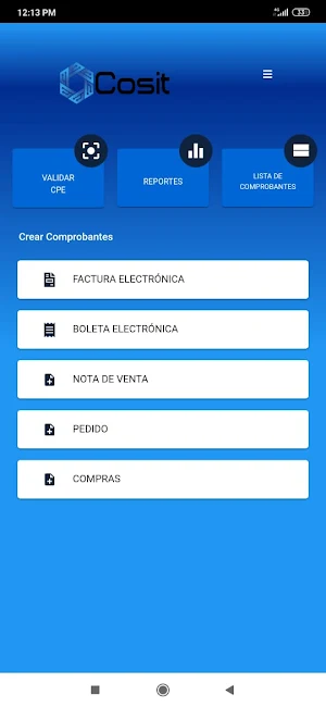 Facturacioncosit Screenshot 1