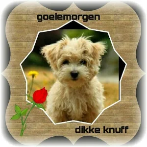 Goedemorgen Screenshot 3