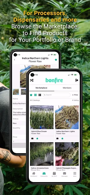 OneBonfire: Cannabis Markets Screenshot 2