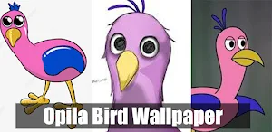 Opila Bird Wallpapers 4K HD Screenshot 0