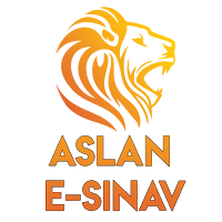 Ehliyet e-sınav
