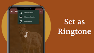 Donkey Sounds Screenshot 3