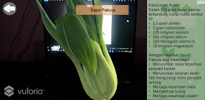 AR Sayur Hidroponik Screenshot 2