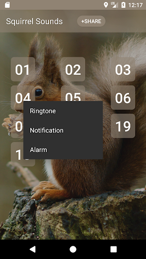 Squirrel Sounds Screenshot 1