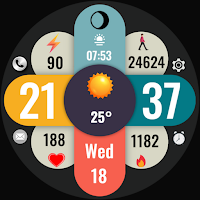 Daisy Digital Watch Face