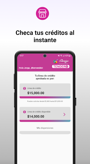 Finamigo Tendero Screenshot 2