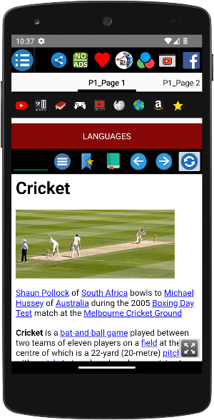 Cricket - History Screenshot 1