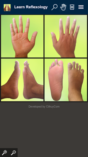 Learn Reflexology Areas Screenshot 0