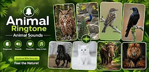 Animal Ringtones:Animal Sounds Screenshot 0