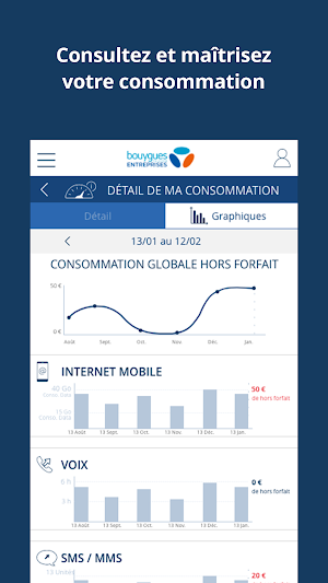 Bouygues Telecom Entreprises Screenshot 2