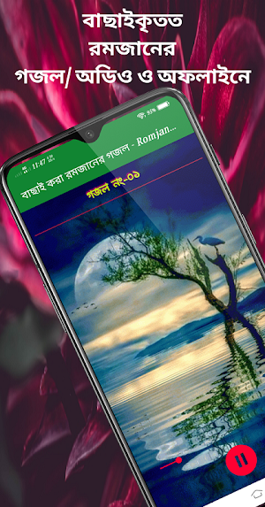 বাছাই করা রমজানের গজল - Romjan gojol Screenshot 3