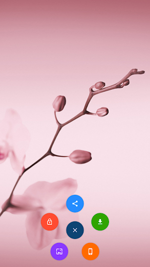 Wallpapers for Huawei P8,P9,P10,P20,P30,P40,P50 Screenshot 1