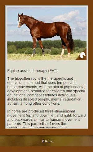 Breed Guide: Horses Screenshot 3