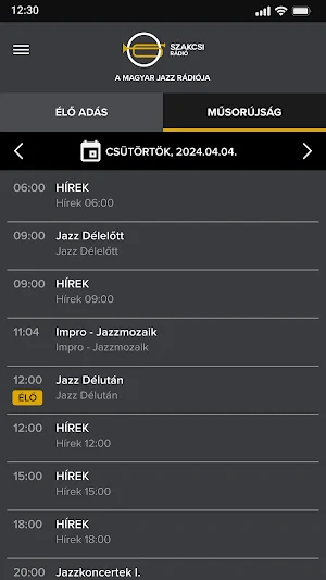 Szakcsi Rádió Screenshot 2