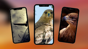 Eagle Wallpaper Screenshot 1