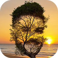 Photo Illusion & Diffusion AI