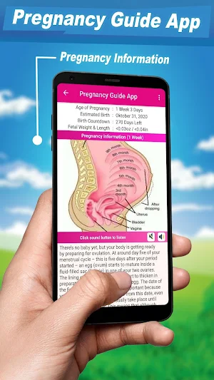 Pregnancy Guide App Screenshot 1