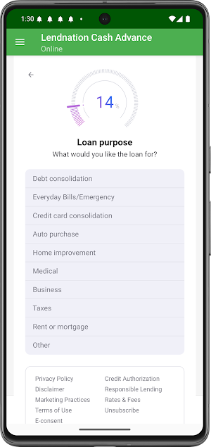 Lendnation Cash Advance Now Screenshot 3
