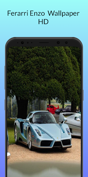 Ferarri Enzo Wallpaper Screenshot 1