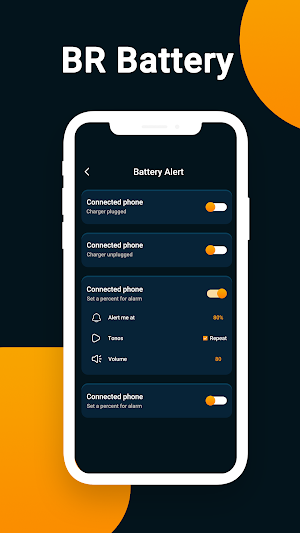 BRBattery Screenshot 2