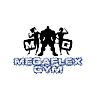 MegaFlex Gym