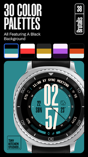 TKS 38 Brutalis Watch Face Screenshot 2