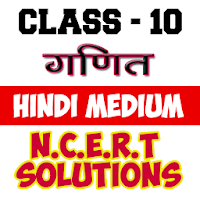 10th class maths solution in h