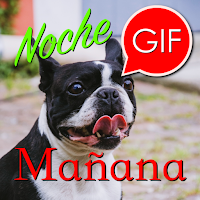 Spanish Morning & Night Gifs