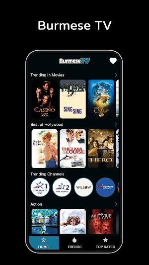 Burmese tv pro apk Screenshot 0
