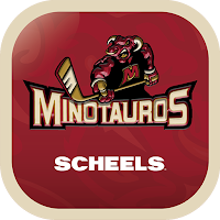 Tauros Hockey
