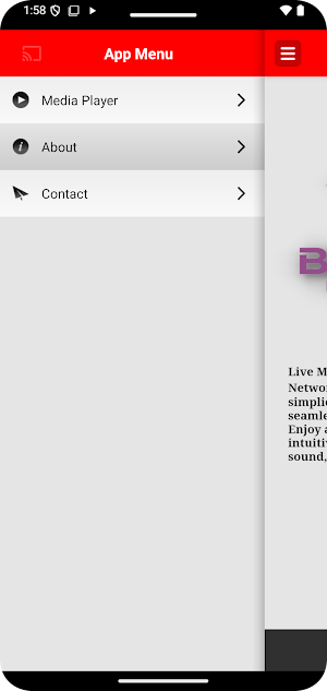 Bendaly Media Network Screenshot 2