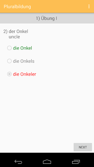 Pluralbildung - German Nouns Screenshot 2