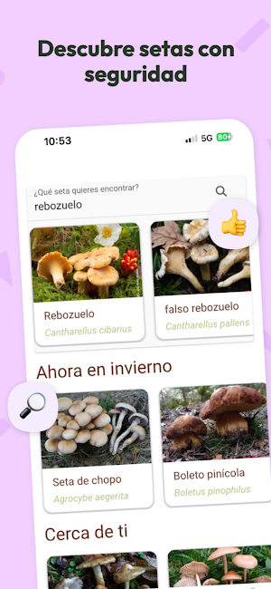 Mycotour-Aragón Screenshot 0